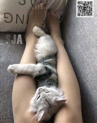 淫秽澳门一区二区久综影院_720神马影院手机在线
